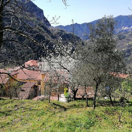 Bed and Breakfast Il Metato Di Gallena Stazzema Exterior foto