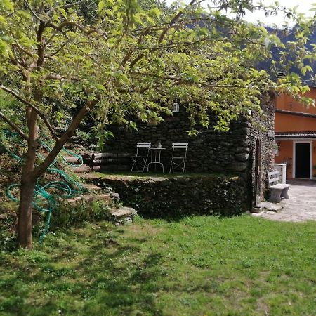 Bed and Breakfast Il Metato Di Gallena Stazzema Exterior foto