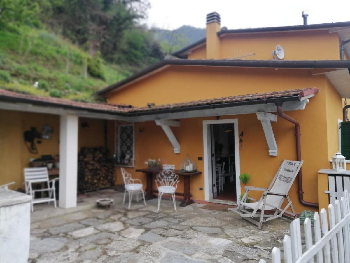 Bed and Breakfast Il Metato Di Gallena Stazzema Exterior foto