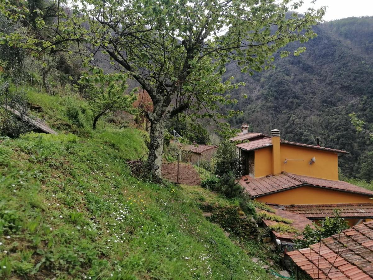 Bed and Breakfast Il Metato Di Gallena Stazzema Exterior foto