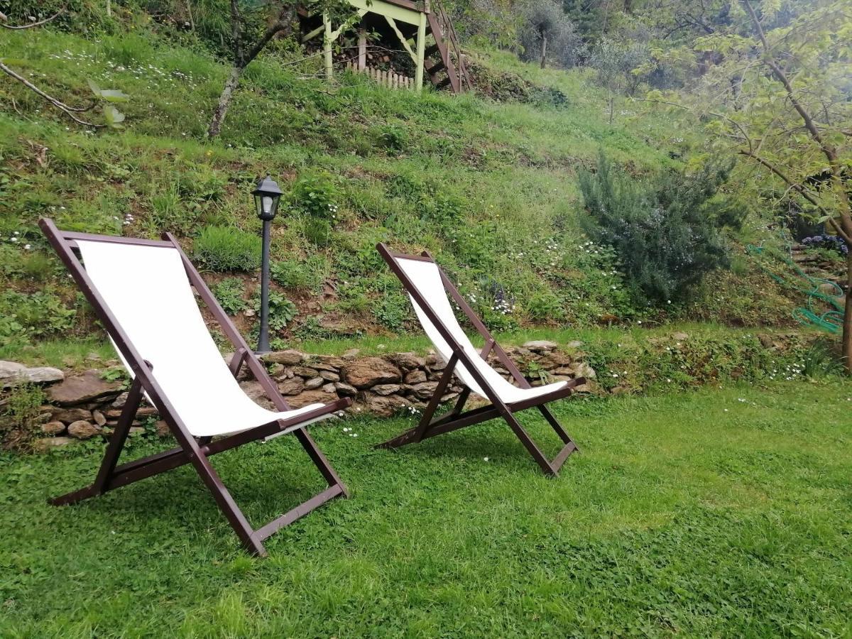 Bed and Breakfast Il Metato Di Gallena Stazzema Exterior foto